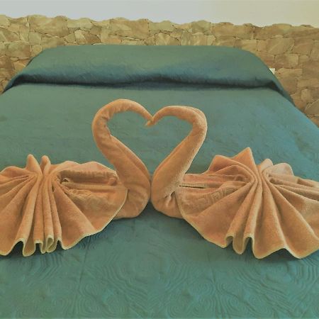 דירות קוסטה דה אנטיגואה Beautiful Coastline Bungalow Near The Ocean 50 M מראה חיצוני תמונה